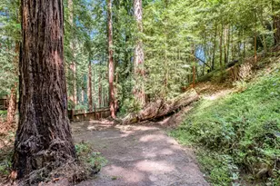 345 McGaffigan Mill Rd, Boulder Creek, CA 95006 - Photo 43