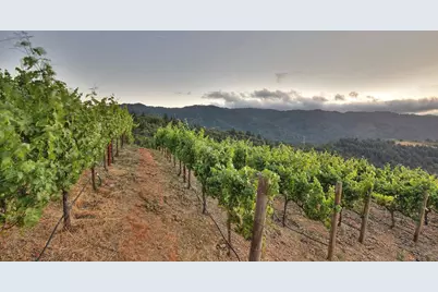 15668 Bohlman Rd, Saratoga, CA 95070 - Photo 31