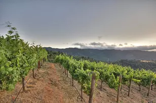 15668 Bohlman Rd, Saratoga, CA 95070 - Photo 31