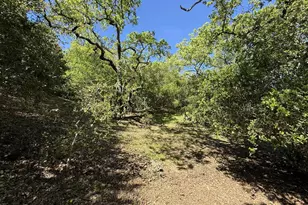 727 Bicknell Rd, Los Gatos, CA 95030 - Photo 65