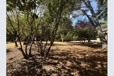 46 Morse Ln, Redwood City, CA 94062 - Photo 37