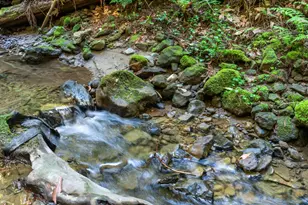 26650 Soquel San Jose Rd, Los Gatos, CA 95033 - Photo 63