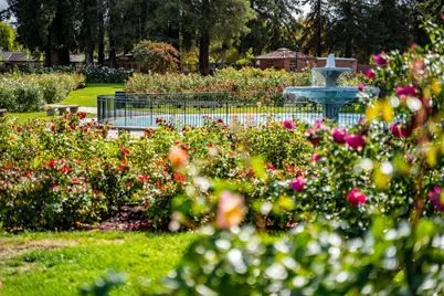 1481 W Hedding St, San Jose, CA 95126 - Photo 71