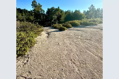 10001 West Dr, Felton, CA 95018 - Photo 9