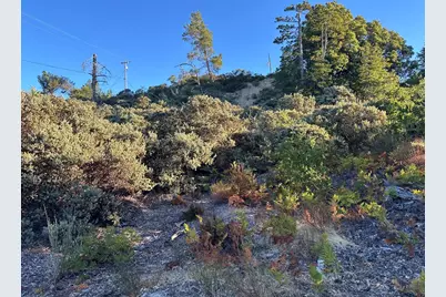10001 West Dr, Felton, CA 95018 - Photo 3