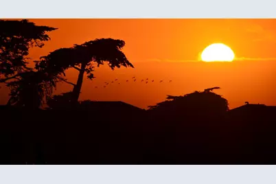 2785 Telegraph Blvd, Marina, CA 93933 - Photo 37