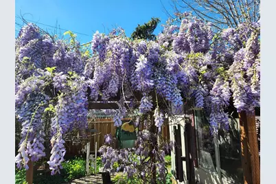 36747 Theta Ct, Fremont, CA 94536 - Photo 19