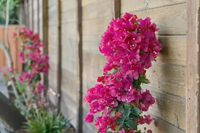 822 Amber Ln, Los Altos, CA 94024 - Photo 27