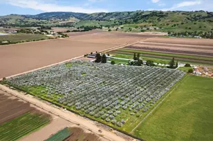 3465 Susie Ln, Gilroy, CA 95020 - Photo 95