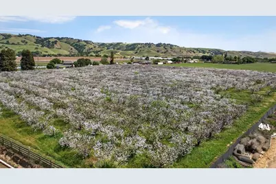3465 Susie Ln, Gilroy, CA 95020 - Photo 93