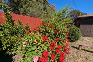 3505 Morningside Dr, El Sobrante, CA 94803 - Photo 77