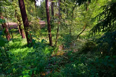 340 Willowbrook Dr, Portola Valley, CA 94028 - Photo 25