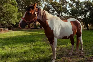 7555 Merced Falls Rd, Snelling, CA 95369 - Photo 23