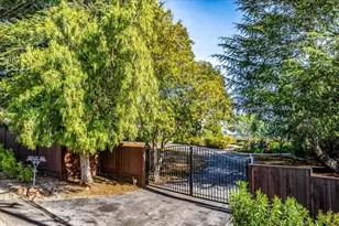 819 Holly Rd, Belmont, CA 94002 - Photo 5