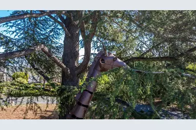 819 Holly Rd, Belmont, CA 94002 - Photo 75