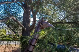 819 Holly Rd, Belmont, CA 94002 - Photo 75