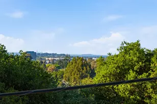 291 W 39th Ave, San Mateo, CA 94403 - Photo 53