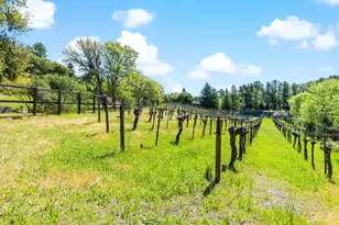 8 Hawkview St, Portola Valley, CA 94028 - Photo 61