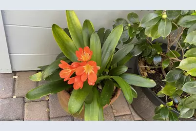 25349 Flanders Dr, Carmel, CA 93923 - Photo 39