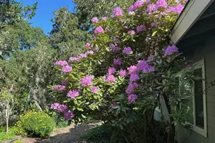 25349 Flanders Dr, Carmel, CA 93923 - Photo 37