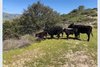 36000 E Carmel Valley, Carmel Valley, CA 93924 - Photo 27