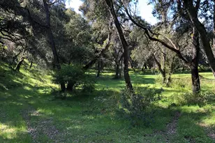 Indian Creek Ranch 36000 Carmel Valley Rd, Carmel Valley, CA 93924 - Photo 37