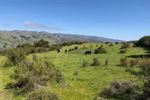 Indian Creek Ranch 36000 Carmel Valley Rd, Carmel Valley, CA 93924 - Photo 29