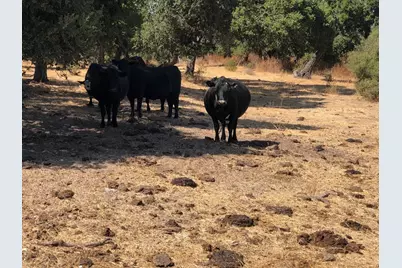 36000 E Carmel Valley, Carmel Valley, CA 93924 - Photo 41