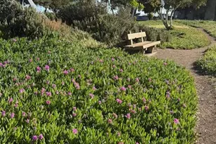 1787 Brooks St, San Mateo, CA 94403 - Photo 31