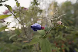 520 Redwood Rd, Whitethorn, CA 95589 - Photo 19