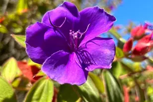 520 Redwood Rd, Whitethorn, CA 95589 - Photo 15