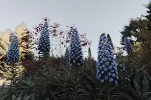 520 Redwood Rd, Whitethorn, CA 95589 - Photo 21