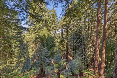 18081 Redwood Dr, Los Gatos, CA 95033 - Photo 47