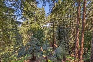 18081 Redwood Drive, Los Gatos, CA 95033 - Photo 47