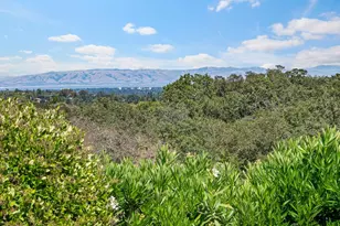 309 Olive Hill Ln, Woodside, CA 94062 - Photo 19