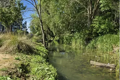 211 S Fremont St 314, San Mateo, CA 94401 - Photo 39