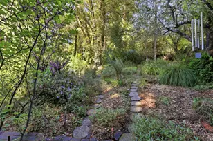 141 Monte Vista Ln, Boulder Creek, CA 95006 - Photo 41