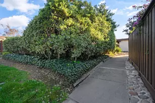 4926 Poplar Terrace, Campbell, CA 95008 - Photo 31