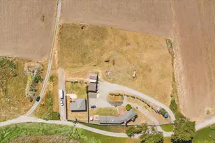 1263 Reservoir Rd, Pescadero, CA 94060 - Photo 55