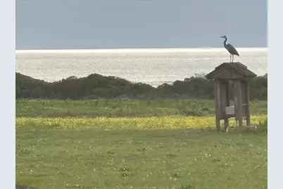 1263 Reservoir Rd, Pescadero, CA 94060 - Photo 29