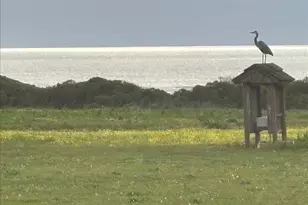 1263 Reservoir Rd, Pescadero, CA 94060 - Photo 29