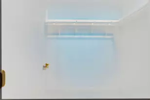 276 Dennis Dr, Daly City, CA 94015 - Photo 33