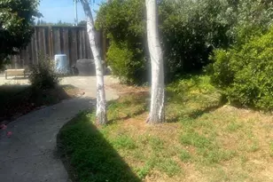 1601 Big Bend Dr, Milpitas, CA 95035 - Photo 5