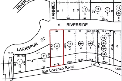 11085 Riverside Rd, Brookdale, CA 95007 - Photo 7