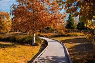 414 Colony Crest Dr, San Jose, CA 95123 - Photo 23