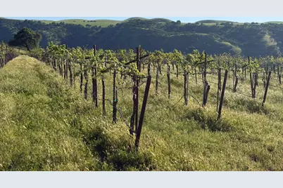 0 Airline Hwy, Tres Pinos, CA 95075 - Photo 23