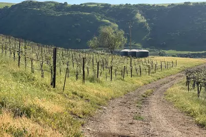 0 Airline Hwy, Tres Pinos, CA 95075 - Photo 19