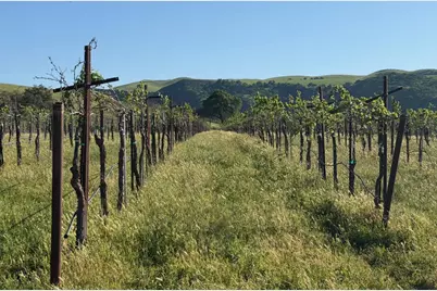 0 Airline Hwy, Tres Pinos, CA 95075 - Photo 31