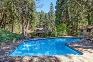 21791 Hwy 49, Downieville, CA 95936 - Photo 45