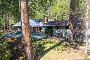 21791 Hwy 49, Downieville, CA 95936 - Photo 3